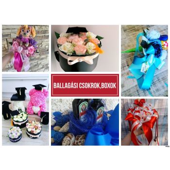 BALLAGÁSI CSOKROK,VIRÁGDOBOZOK